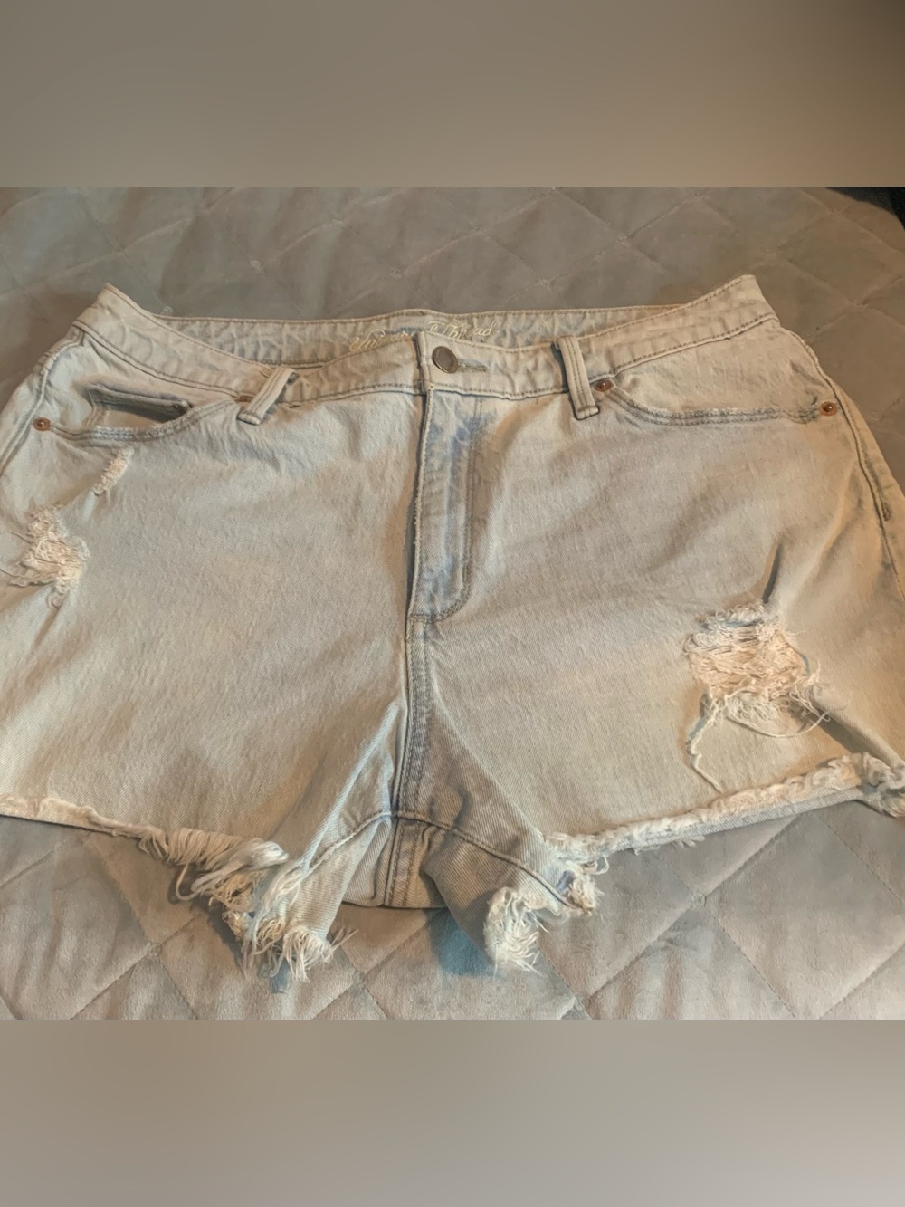 Universal Thread Light Blue Denim Shorts with Embroidered Logo